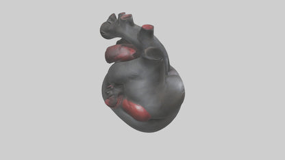3D model Gorilla Heart VR / AR / low-poly