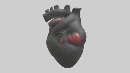 3D model Gorilla Heart VR / AR / low-poly