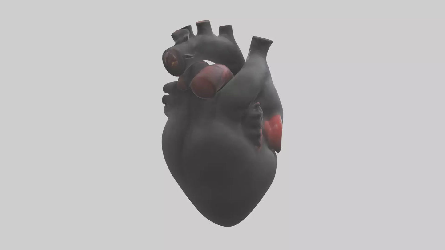 3D model Gorilla Heart VR / AR / low-poly
