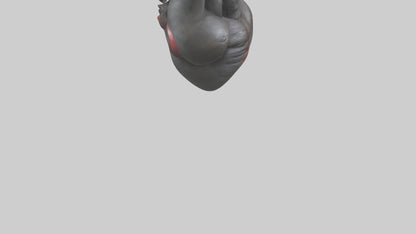 3D model Gorilla Heart VR / AR / low-poly