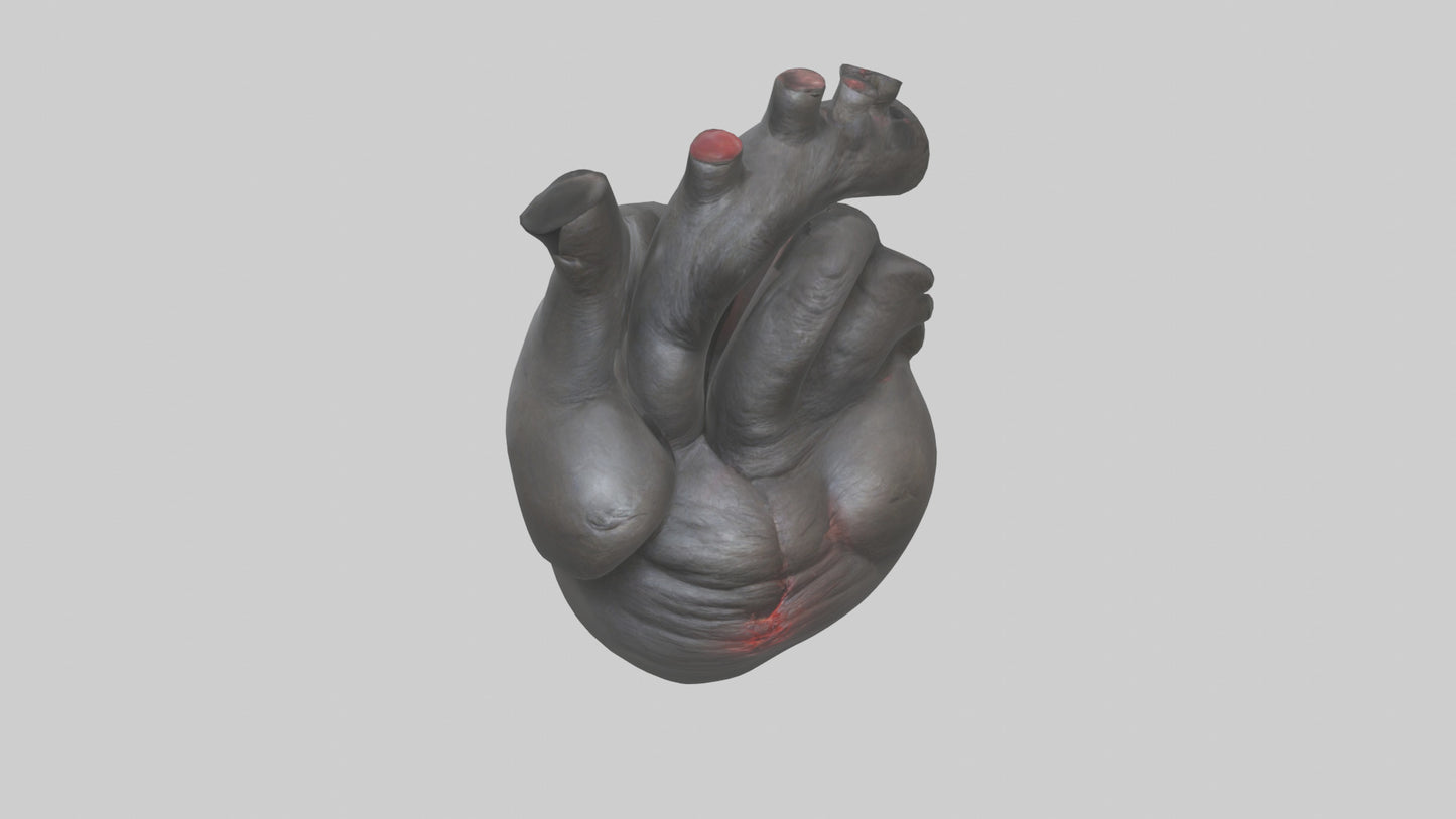 3D model Gorilla Heart VR / AR / low-poly