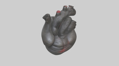 3D model Gorilla Heart VR / AR / low-poly