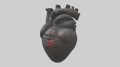 3D model Gorilla Heart VR / AR / low-poly