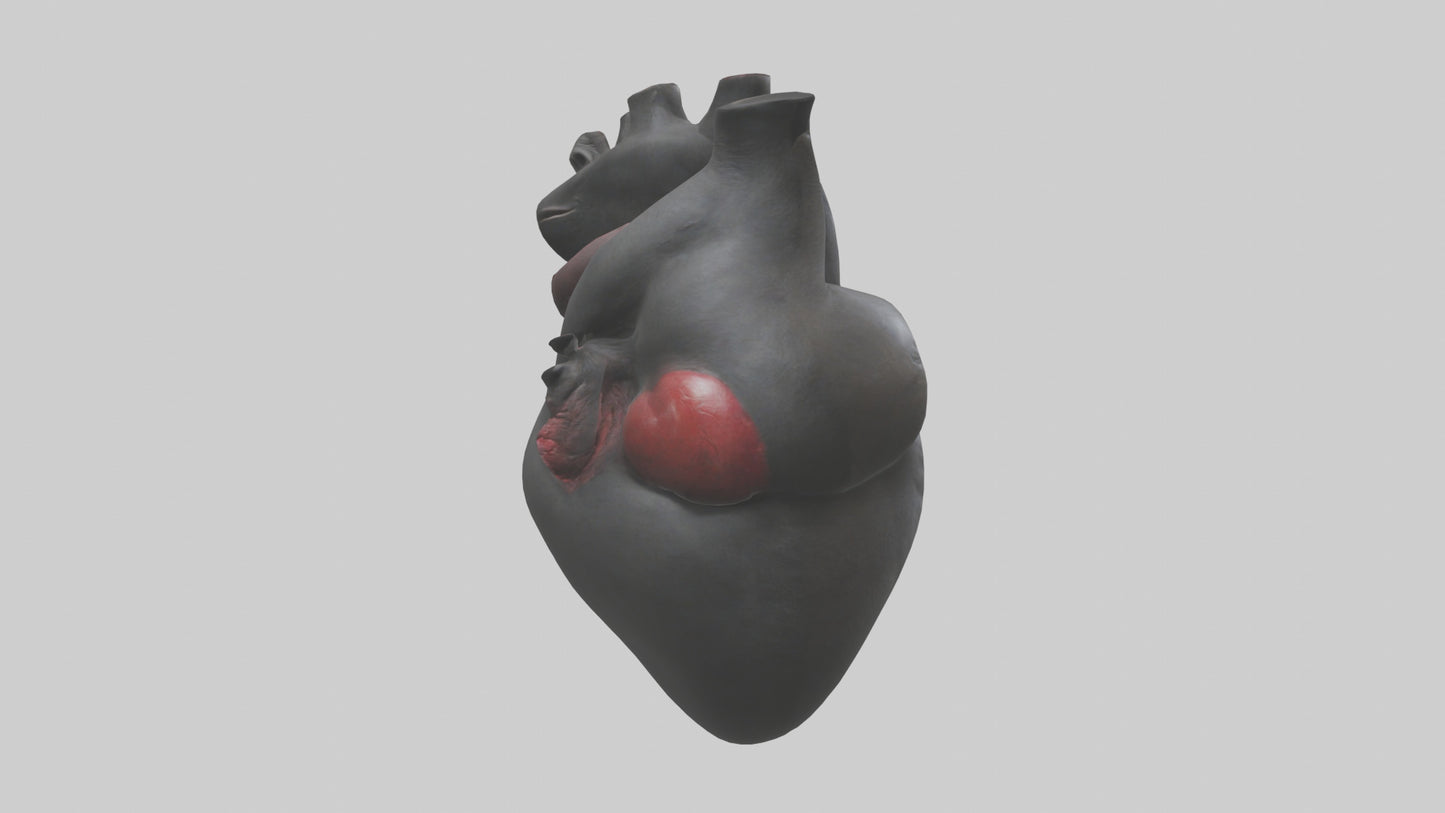 3D model Gorilla Heart VR / AR / low-poly