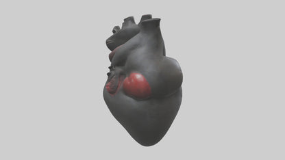 3D model Gorilla Heart VR / AR / low-poly