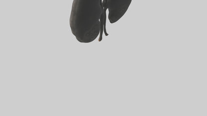 3D model Gorilla Kidneys VR / AR / low-poly