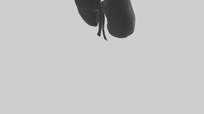 3D model Gorilla Kidneys VR / AR / low-poly