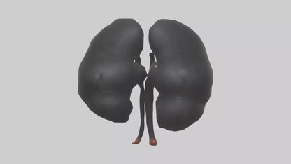 3D model Gorilla Kidneys VR / AR / low-poly