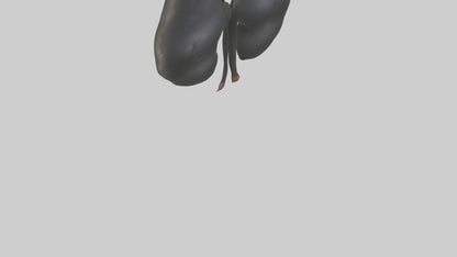 3D model Gorilla Kidneys VR / AR / low-poly