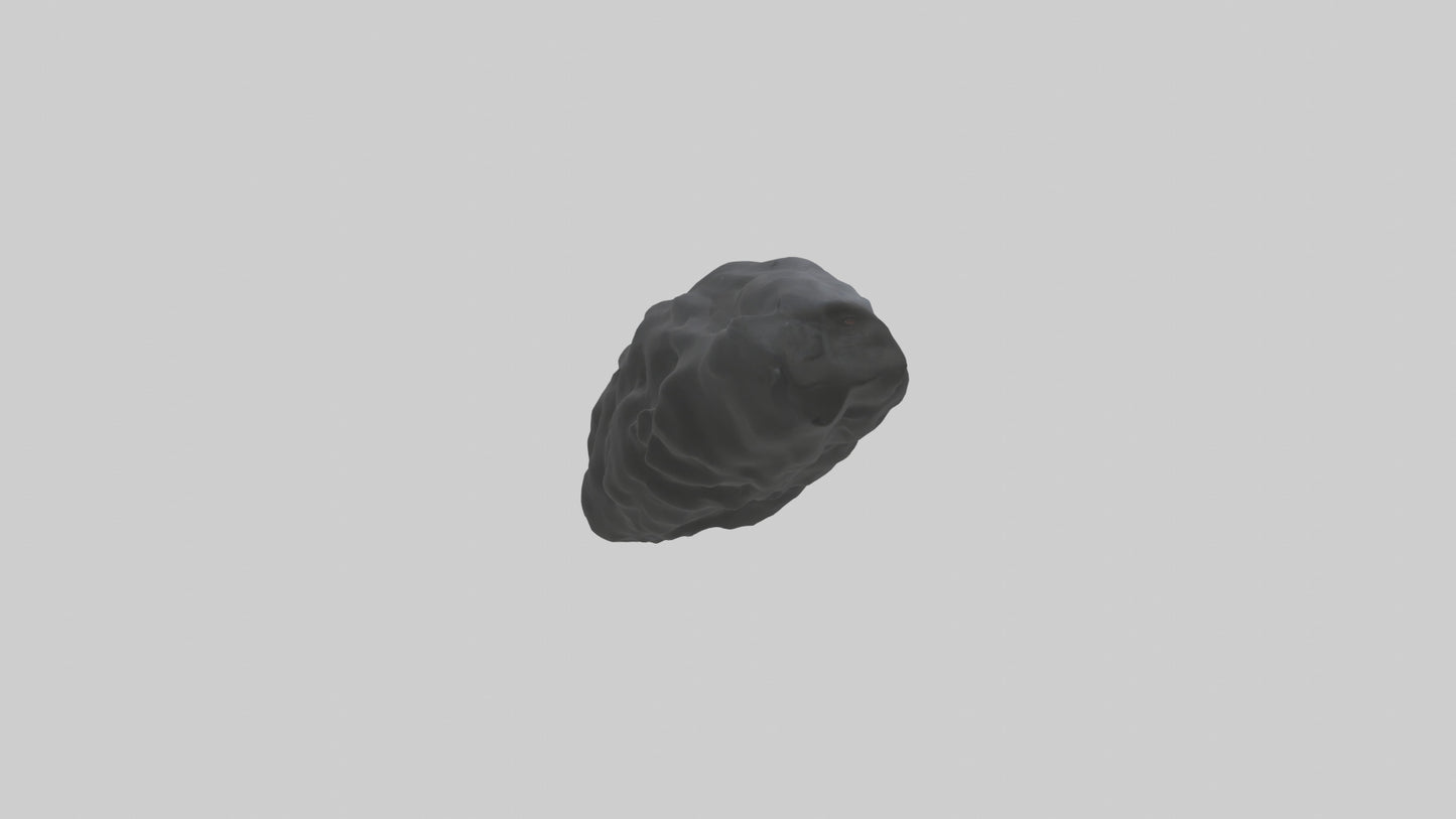 3D model Gorilla Rib VR / AR / low-poly