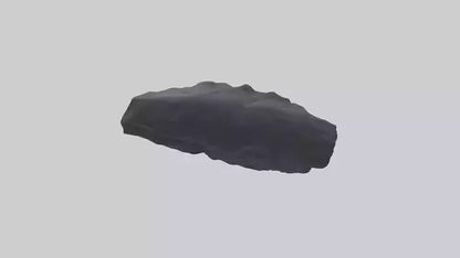 3D model Gorilla Rib VR / AR / low-poly