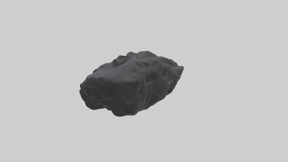3D model Gorilla Rib VR / AR / low-poly