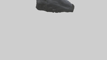 3D model Gorilla Rib VR / AR / low-poly