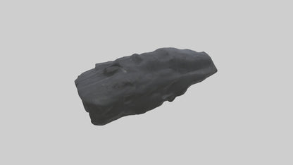 3D model Gorilla Rib VR / AR / low-poly