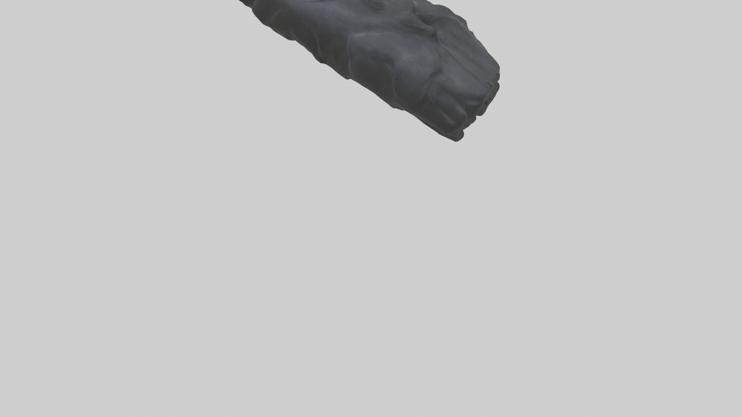 3D model Gorilla Rib VR / AR / low-poly
