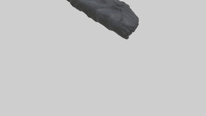 3D model Gorilla Rib VR / AR / low-poly