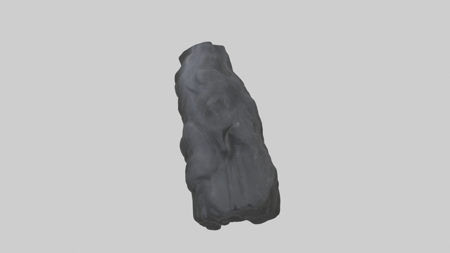 3D model Gorilla Rib VR / AR / low-poly