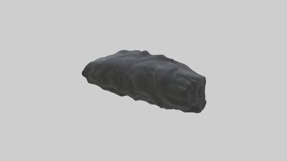 3D model Gorilla Rib VR / AR / low-poly