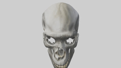 3D model Gorilla Skull VR / AR / low-poly