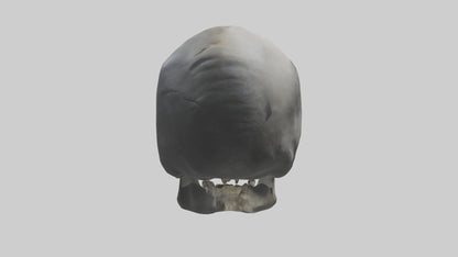 3D model Gorilla Skull VR / AR / low-poly