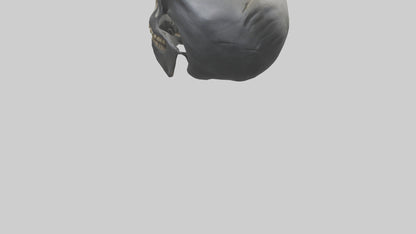 3D model Gorilla Skull VR / AR / low-poly