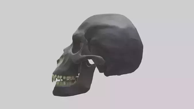 3D model Gorilla Skull VR / AR / low-poly