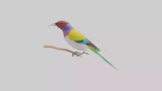 Gouldian Finch perched model VR / AR / low-poly