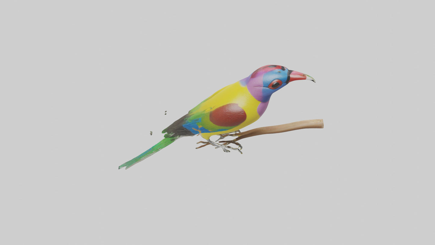 Gouldian Finch perched model VR / AR / low-poly