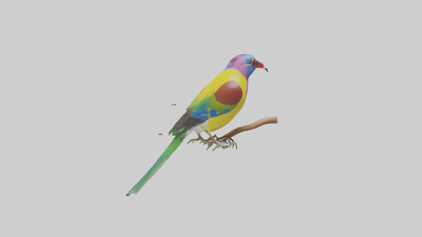 Gouldian Finch perched model VR / AR / low-poly