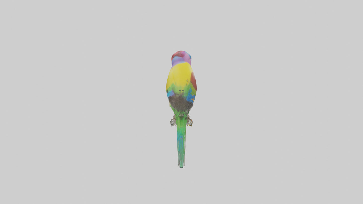 Gouldian Finch perched model VR / AR / low-poly