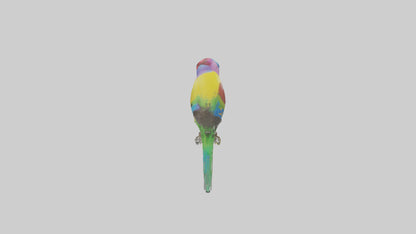 Gouldian Finch perched model VR / AR / low-poly