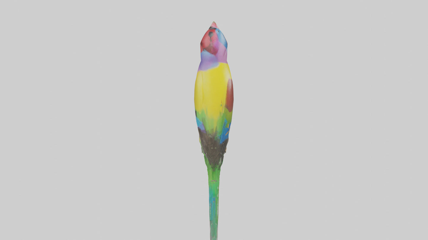 Gouldian Finch perched model VR / AR / low-poly