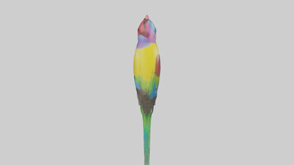 Gouldian Finch perched model VR / AR / low-poly