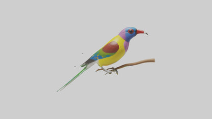 Gouldian Finch perched model VR / AR / low-poly