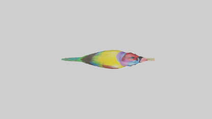 Gouldian Finch perched model VR / AR / low-poly