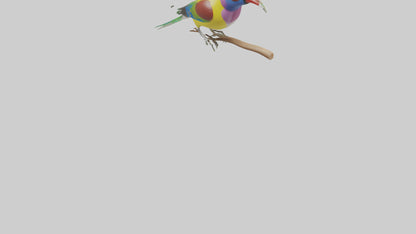 Gouldian Finch perched model VR / AR / low-poly