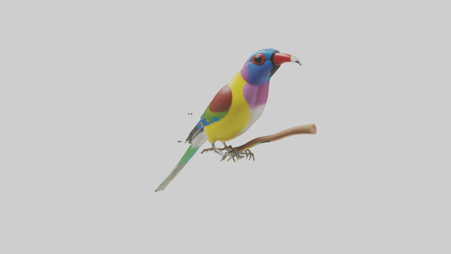 Gouldian Finch perched model VR / AR / low-poly