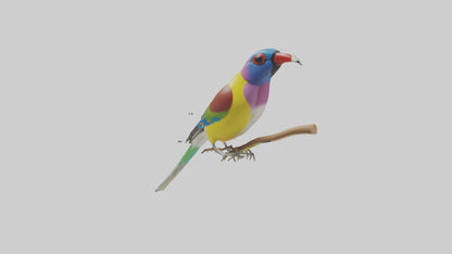Gouldian Finch perched model VR / AR / low-poly