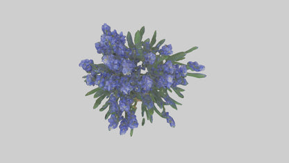 3D model Grape Hyacinth model VR / AR / low-poly