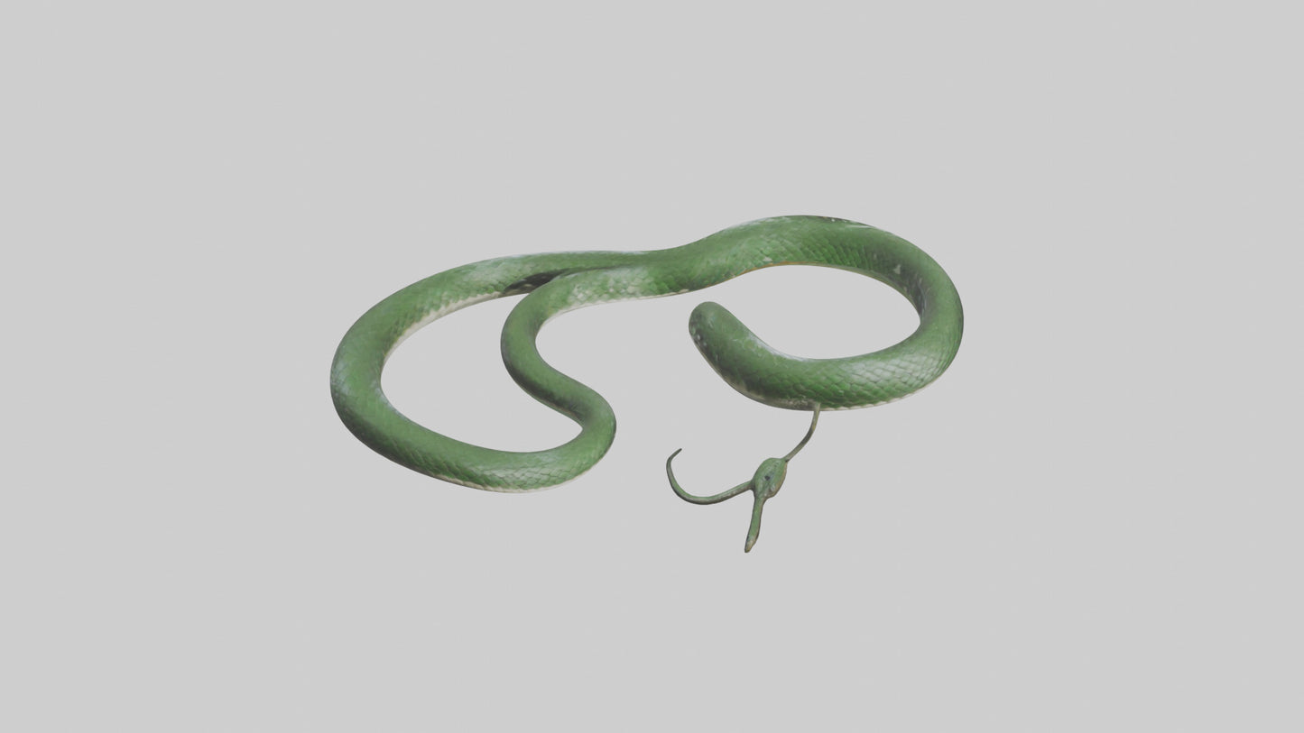3D model Grass Snake slithering model VR / AR / low-poly