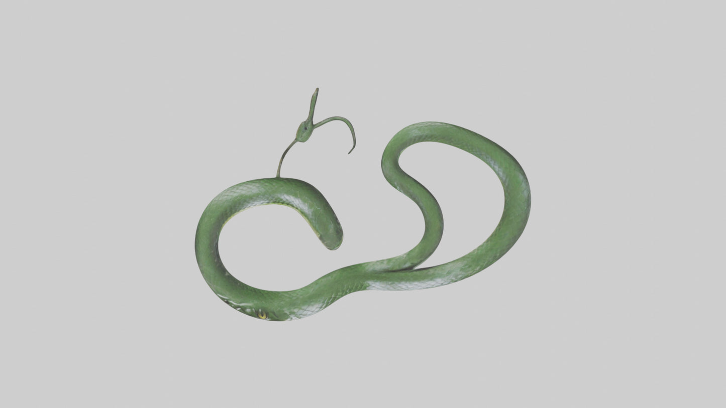 3D model Grass Snake slithering model VR / AR / low-poly
