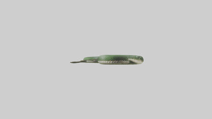 3D model Grass Snake slithering model VR / AR / low-poly