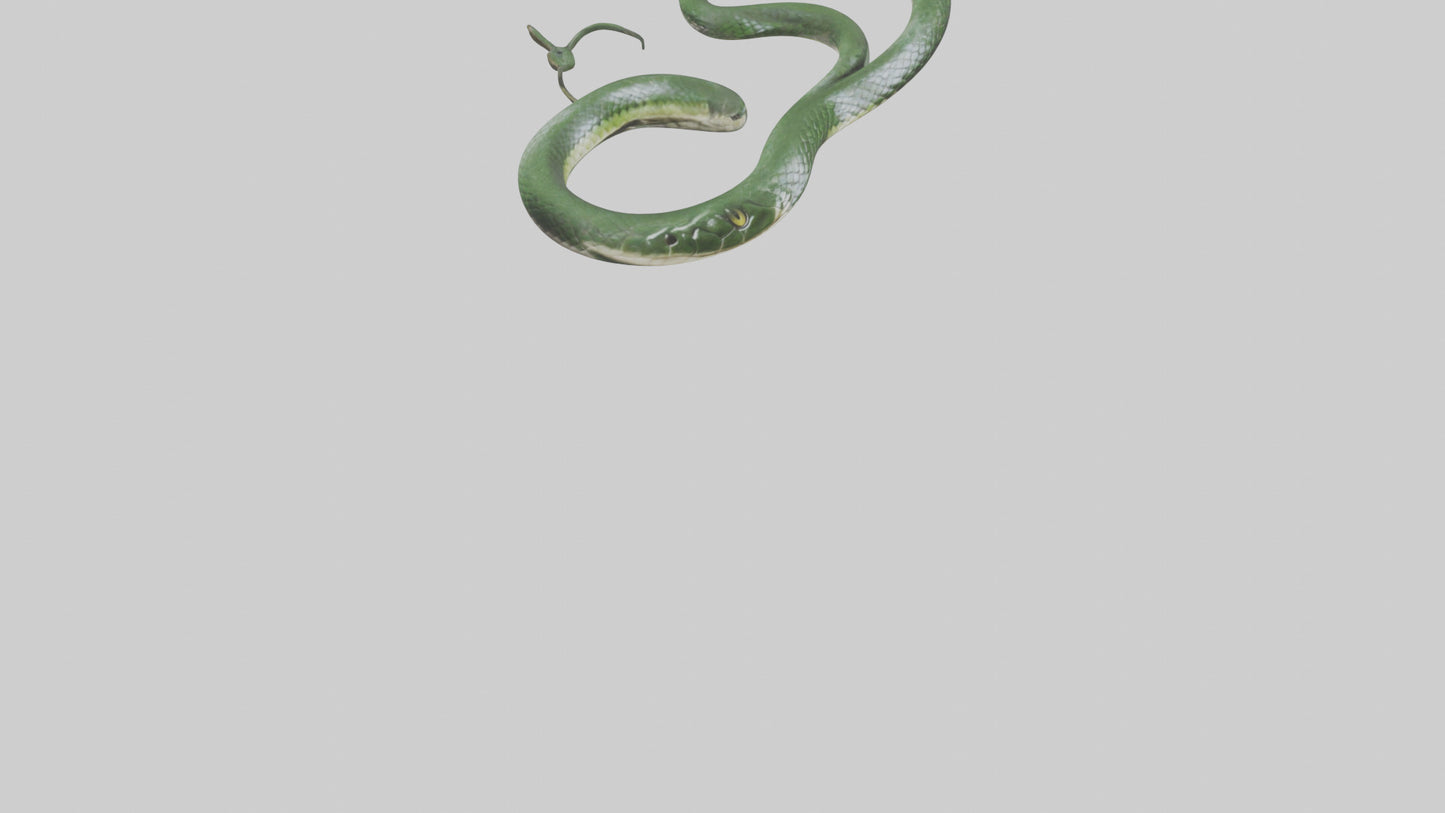 3D model Grass Snake slithering model VR / AR / low-poly