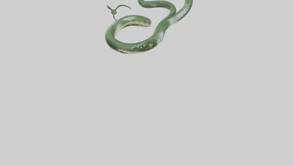 3D model Grass Snake slithering model VR / AR / low-poly