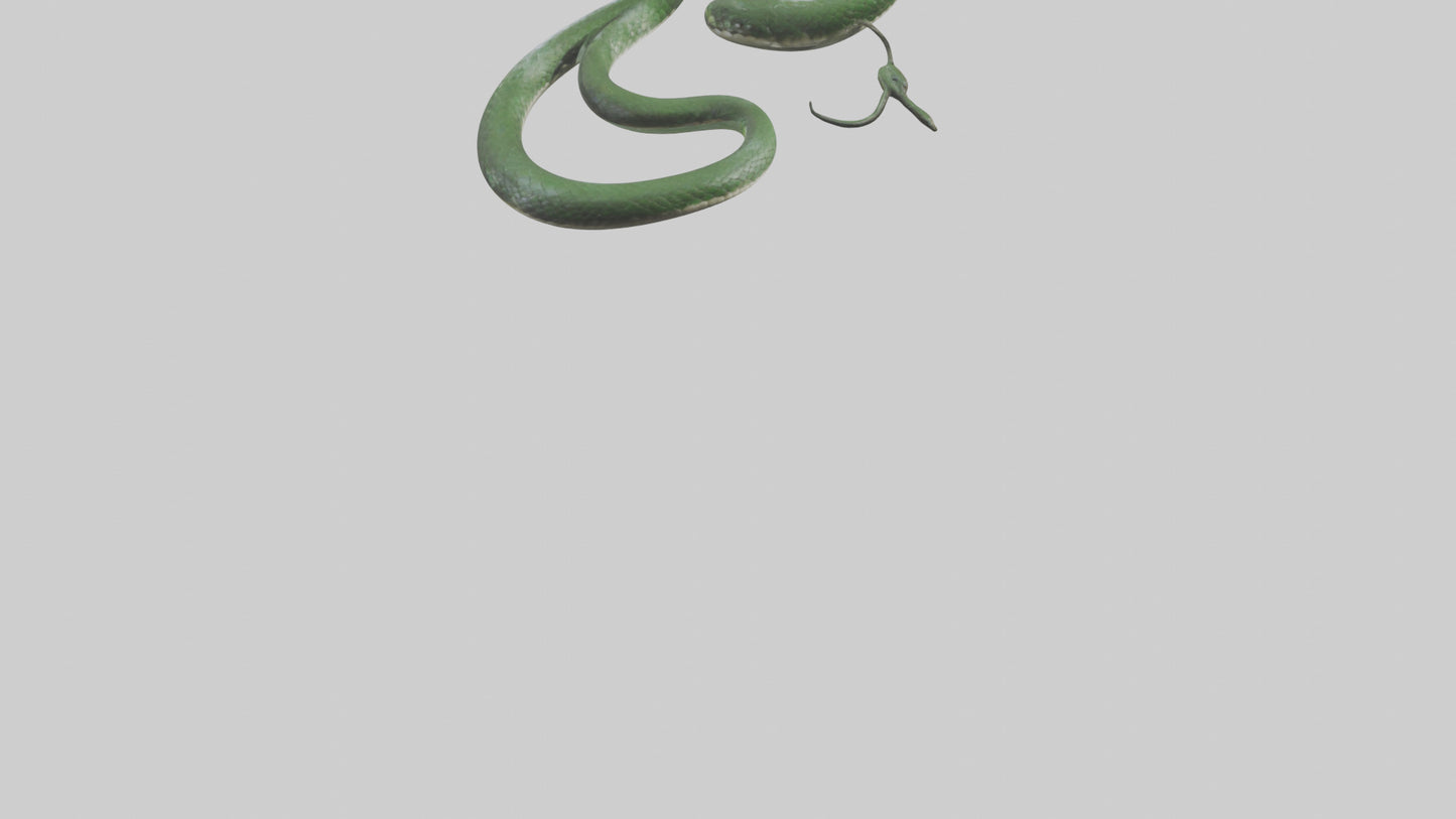 3D model Grass Snake slithering model VR / AR / low-poly