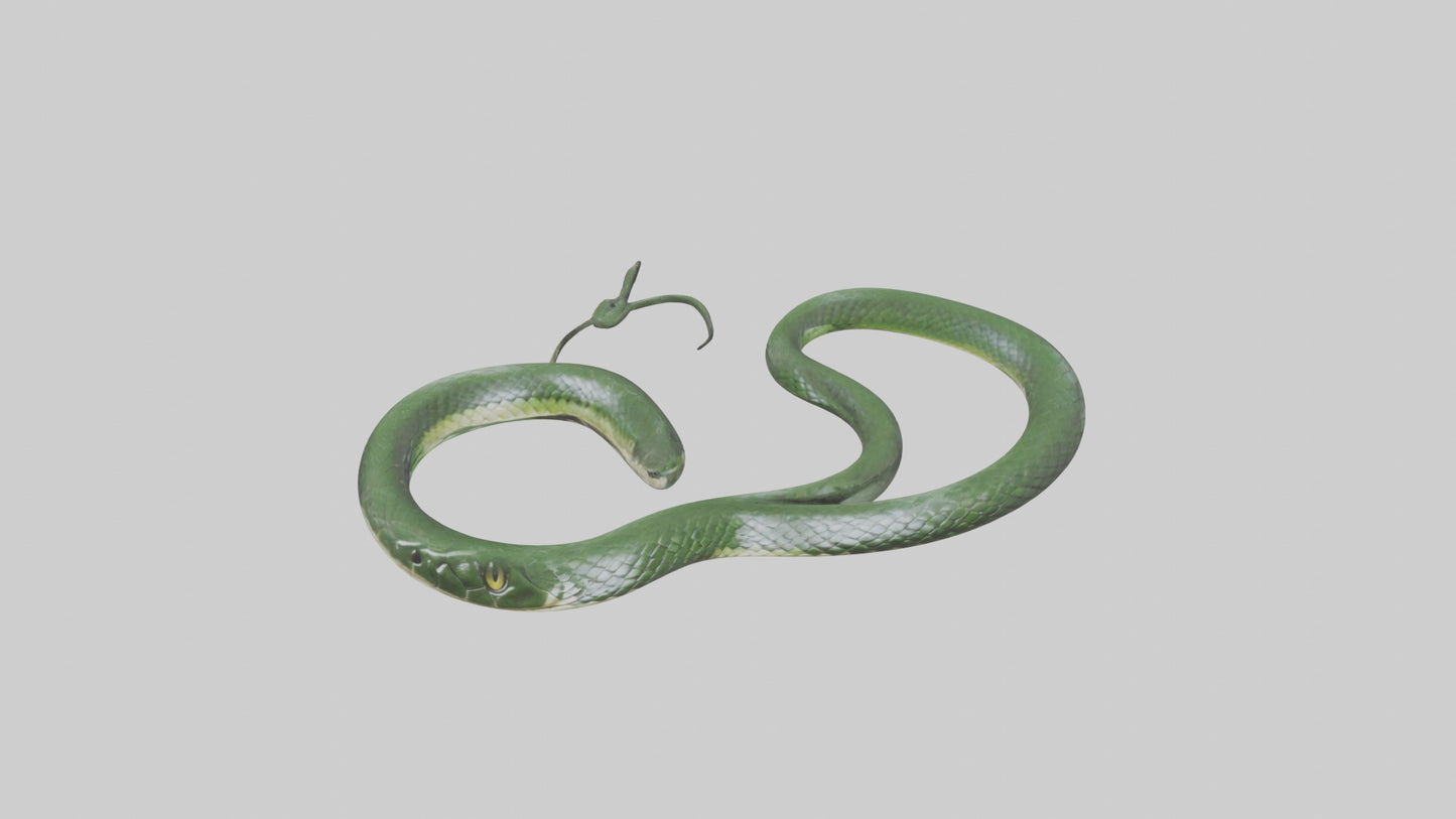 3D model Grass Snake slithering model VR / AR / low-poly