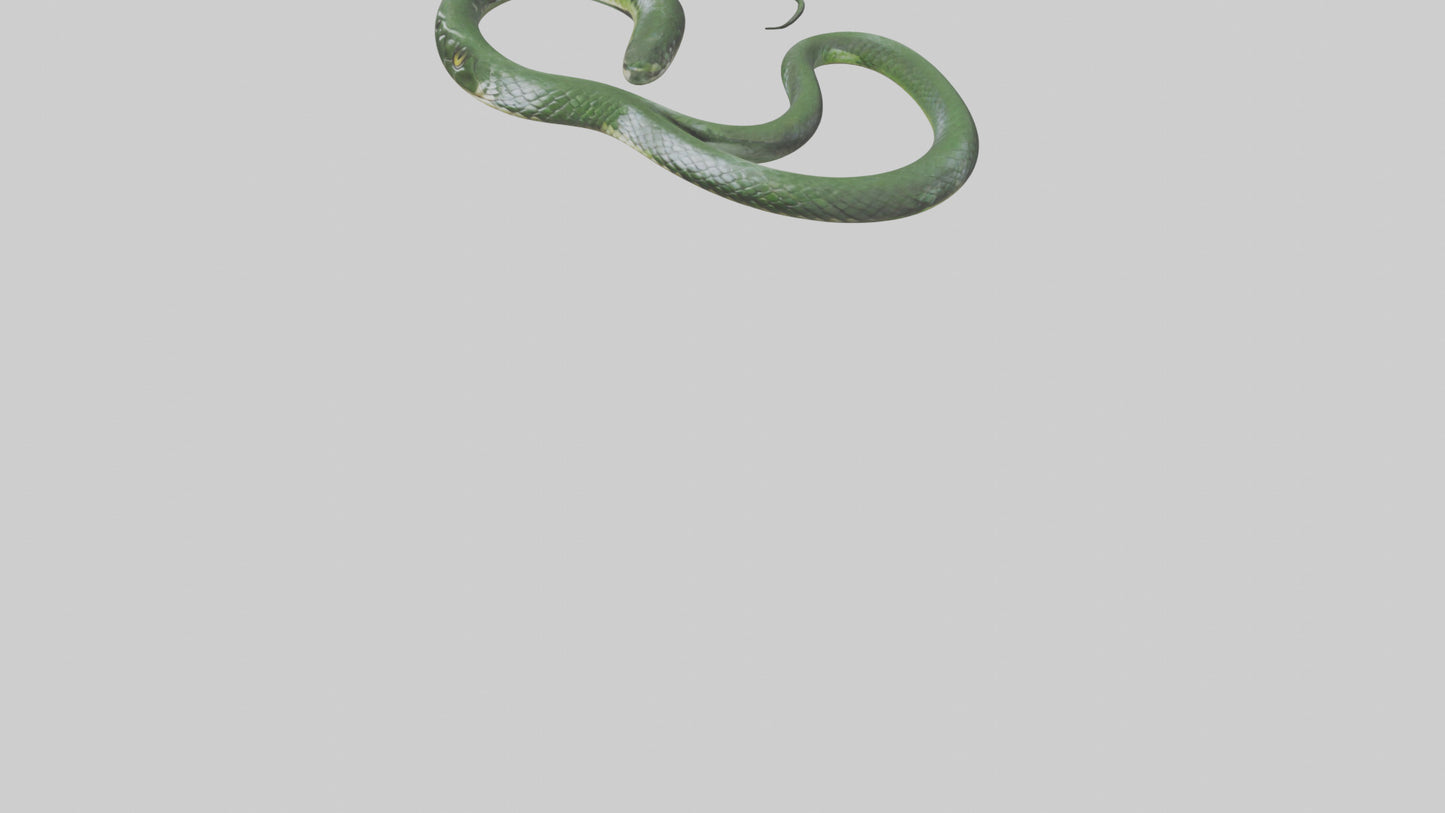 3D model Grass Snake slithering model VR / AR / low-poly