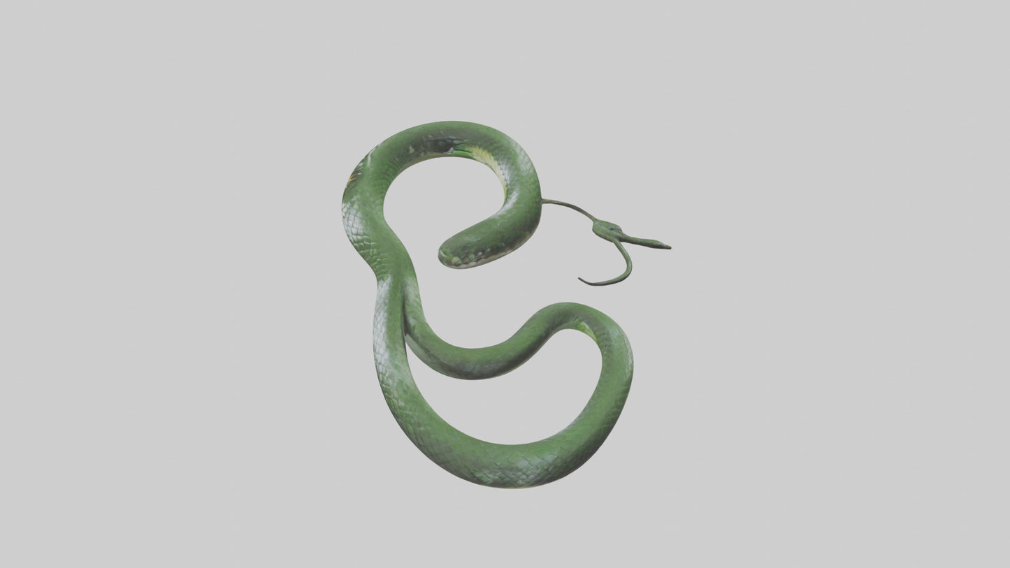 3D model Grass Snake slithering model VR / AR / low-poly