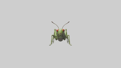 Grasshoper Jumping Model VR / AR / low-poly