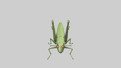 3D model Grasshopper hopping model VR / AR / low-poly